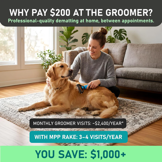 ✨Last Day 70% OF🐾Double-Sided Pet Grooming Brush – Hurtless Shedding
