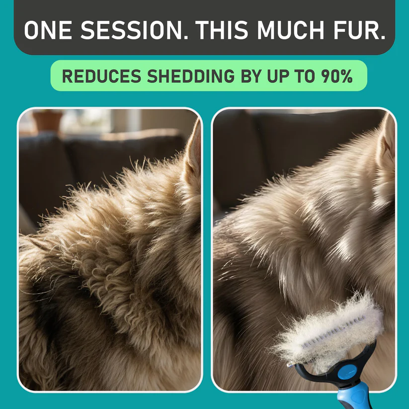 ✨Last Day 70% OF🐾Double-Sided Pet Grooming Brush – Hurtless Shedding