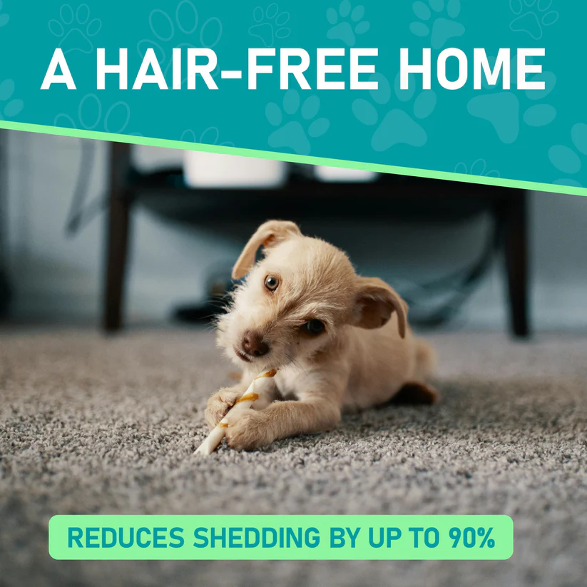 ✨Last Day 70% OF🐾Double-Sided Pet Grooming Brush – Hurtless Shedding