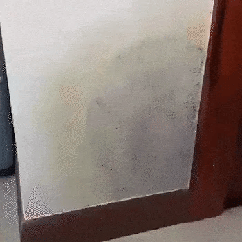 🔥Day Sale 48%  Anti-mold spray