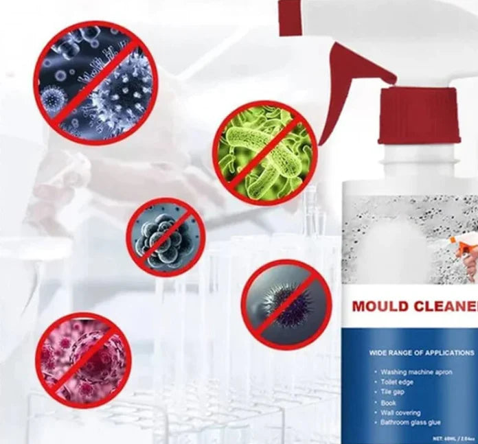 🔥Day Sale 48%  Anti-mold spray