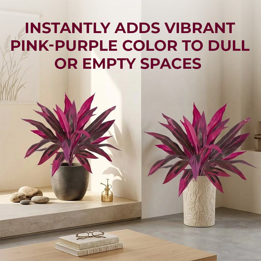 🔥 Last Day 50% OFF 🔥 2Pcs Artificial Boston Fern & Dragon's Blood Tree Plants