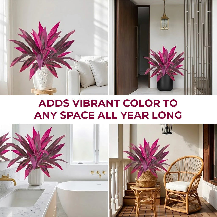 🔥 Last Day 50% OFF 🔥 2Pcs Artificial Boston Fern & Dragon's Blood Tree Plants