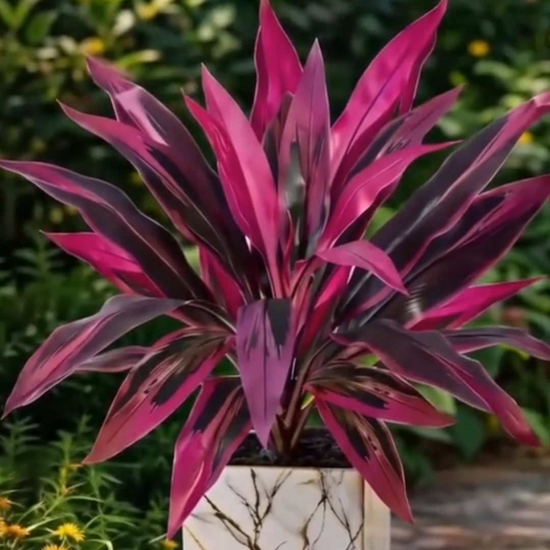 🔥 Last Day 50% OFF 🔥 2Pcs Artificial Boston Fern & Dragon's Blood Tree Plants