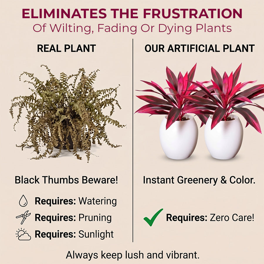 🔥 Last Day 50% OFF 🔥 2Pcs Artificial Boston Fern & Dragon's Blood Tree Plants