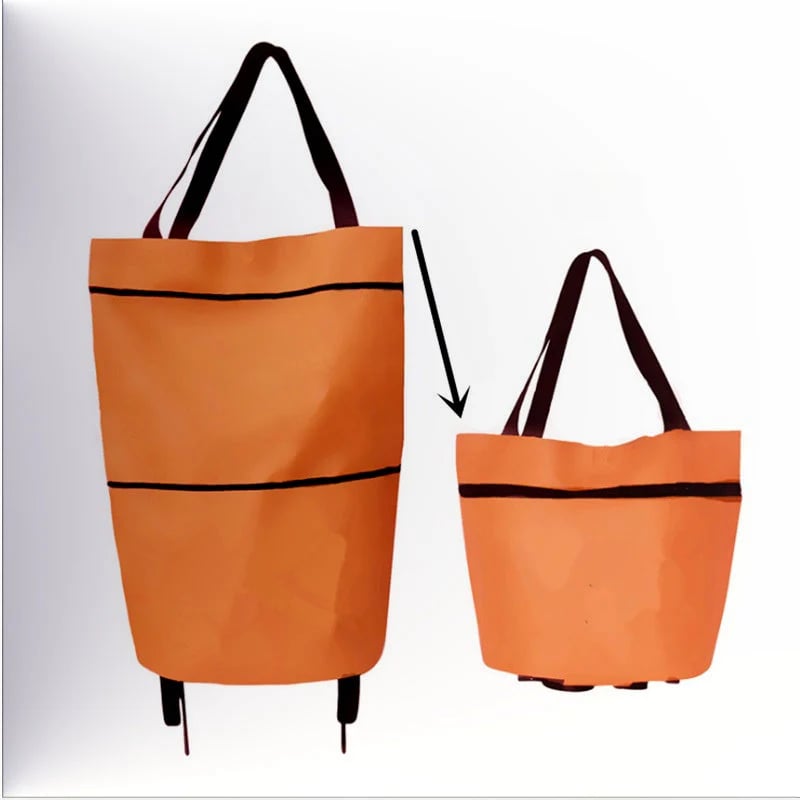 🛢️ 2-in-1 Foldable Shopping Cart