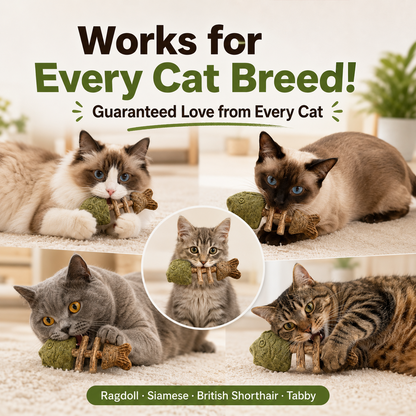 Catnip & Silvervine Chew