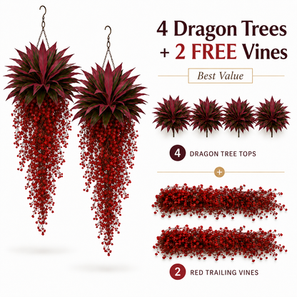 🔥 Last Day 50% OFF 🔥 2Pcs Artificial Boston Fern & Dragon's Blood Tree Plants