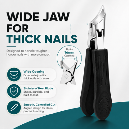 🔥BUY 1 GET 3 FREE🔥Eagle Beak Beveled Nail Clippers