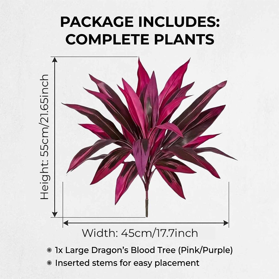 🔥 Last Day 50% OFF 🔥 2Pcs Artificial Boston Fern & Dragon's Blood Tree Plants