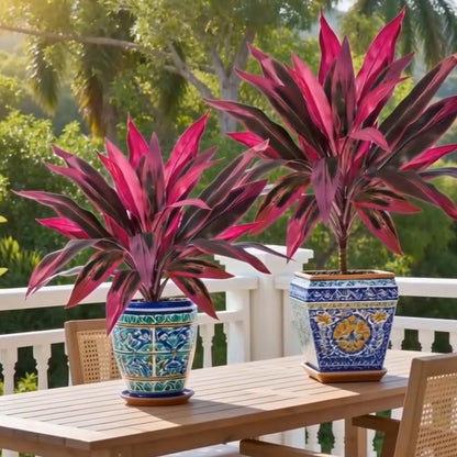 🔥 Last Day 50% OFF 🔥 2Pcs Artificial Boston Fern & Dragon's Blood Tree Plants