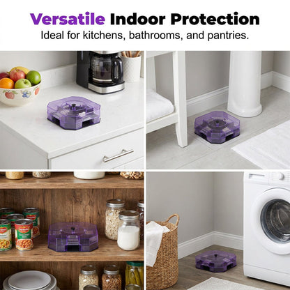 🔥50% OFF Today! -Reusable Effective Roach Trap