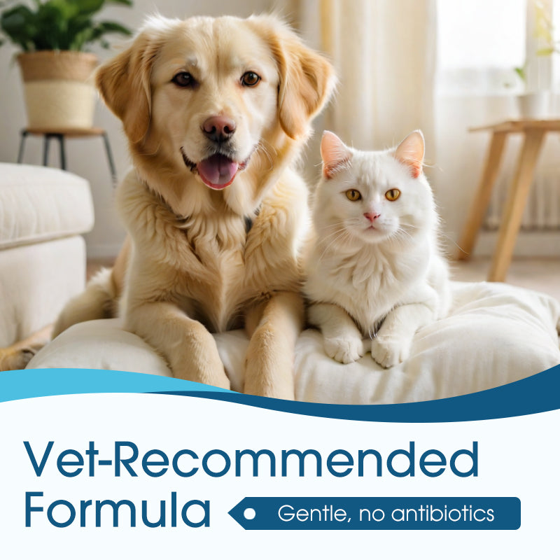 Pet scratching ear because of everyday buildup